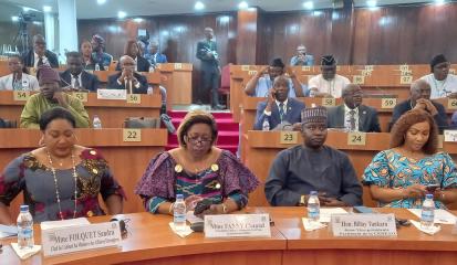 Joint Committee members in Abidjan 