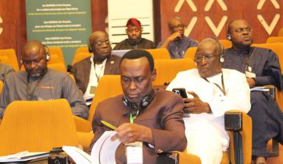 Members of Parliament at third Extraordinary meeting in Togo 